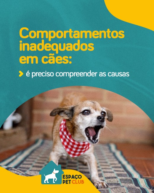 Comportamentos inadequados em cães: é preciso compreender as causas