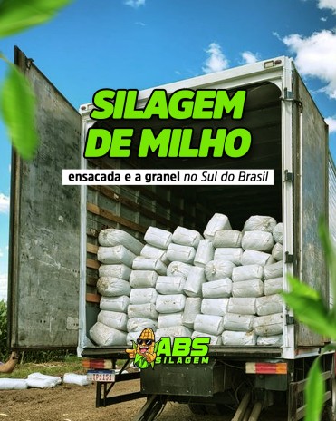 Silagem de milho ensacada e a granel no Sul do Brasil