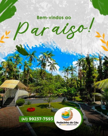 Bem-vindo (a) ao paraíso?