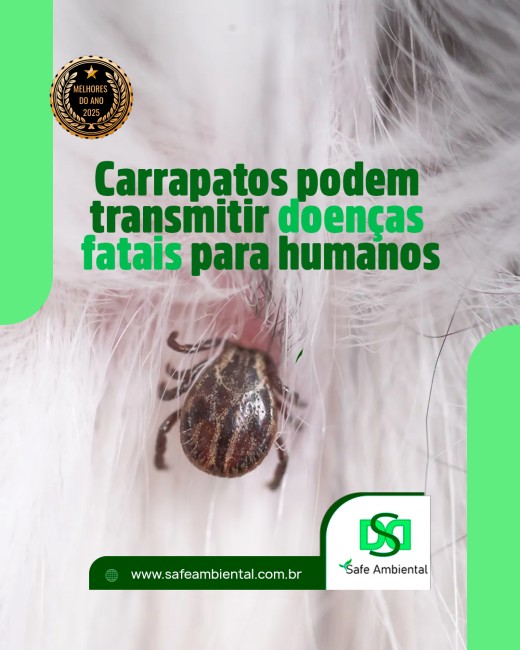Carrapatos podem transmitir doenças fatais para humanos