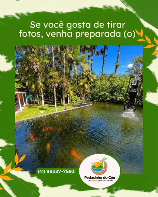 Se você gosta de tirar fotos, venha preparada (o)