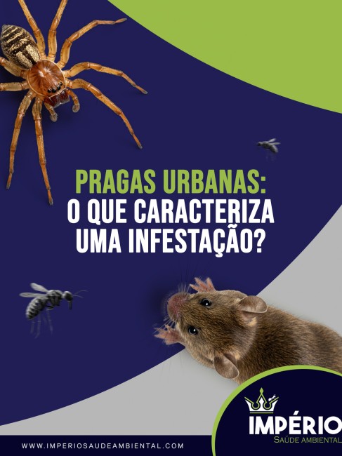 Pragas urbanas: o que caracteriza uma infestação?