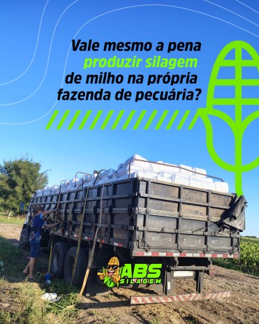 Vale mesmo a pena produzir silagem de milho na própria fazenda de pecuária?
