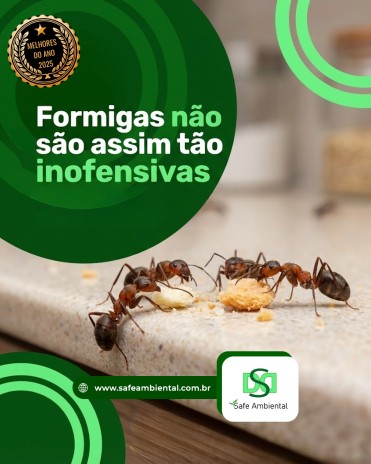 Formigas não são assim tão inofensivas