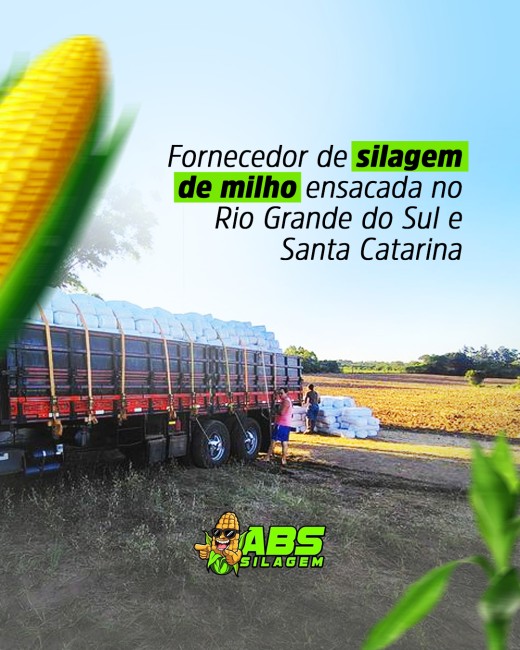 Fornecedor de silagem de milho ensacada no Rio Grande do Sul e Santa Catarina