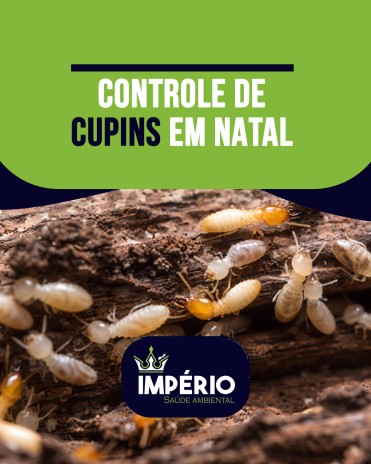 Controle de cupins em Natal