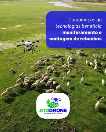 Combinação de tecnologias beneficia monitoramento e contagem de rebanhos