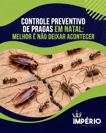 Controle preventivo de pragas em Natal: melhor é não deixar acontecer