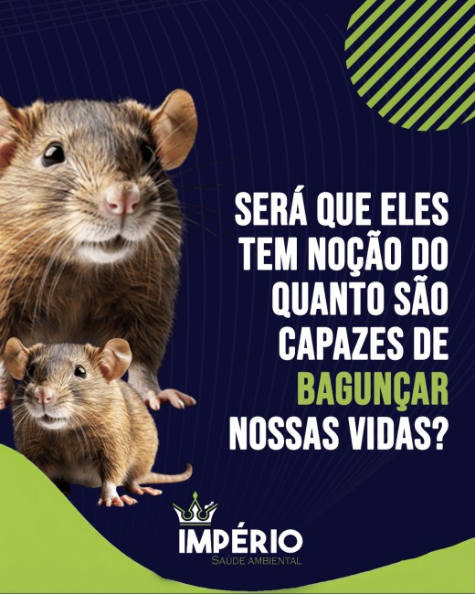Será que eles tem noção do quanto são capazes de bagunçar nossas vidas?
