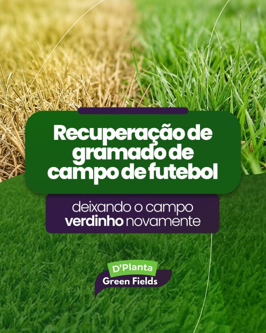 Recuperação de gramado de campo de futebol deixando o campo verdinho novamente