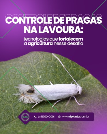 Controle de pragas na lavoura: tecnologias que fortalecem a agricultura nesse desafio