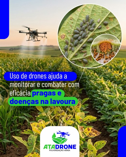 Uso de drones ajuda a monitorar e combater com eficácia pragas e doenças na lavoura