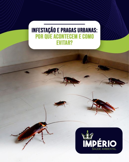 Infestação e pragas urbanas: por que acontecem e como evitar?