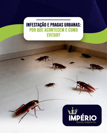Infestação e pragas urbanas: por que acontecem e como evitar?