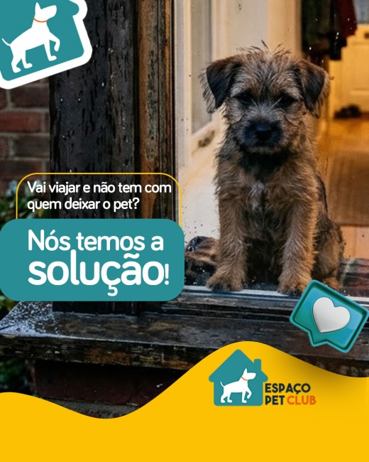 Vai viajar e não tem com quem deixar o pet? Nós temos a solução