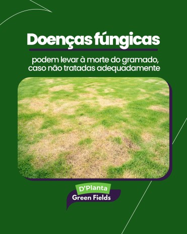 Doenças fúngicas podem levar à morte do gramado, caso não tratadas adequadamente