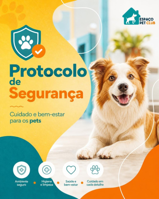 Protocolo de Segurança