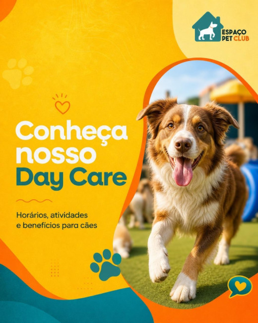 Conheça nosso Day Care